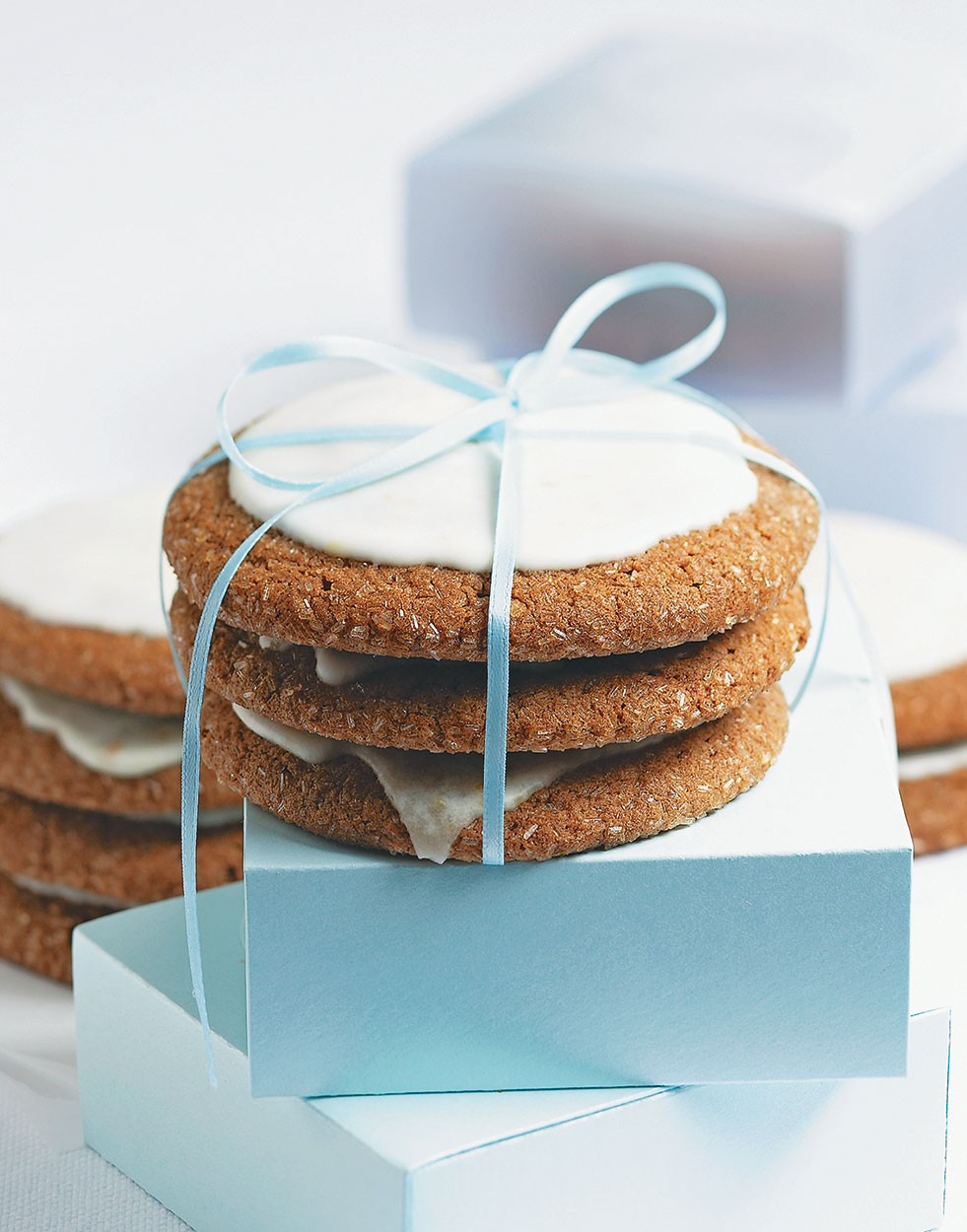 Giant Ginger Cookies Recipe
